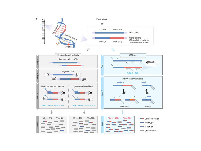 上海交大宋萍/国妇婴王玉东合作开发“随机引物锚定多重检测技术”一次锁定未知融合，精准助力肿瘤诊断