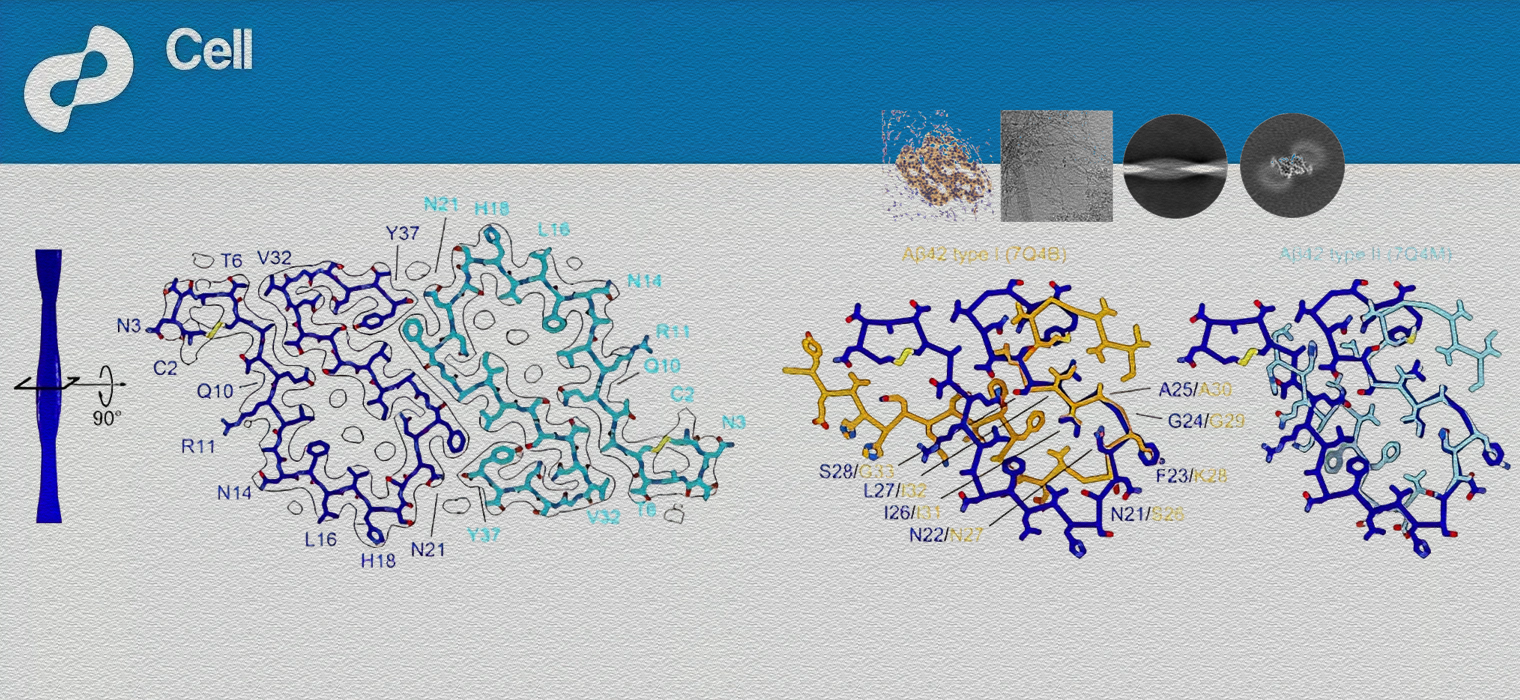 上海交大团队新年CELL发文，首次揭示2型糖尿病的重要分子机制