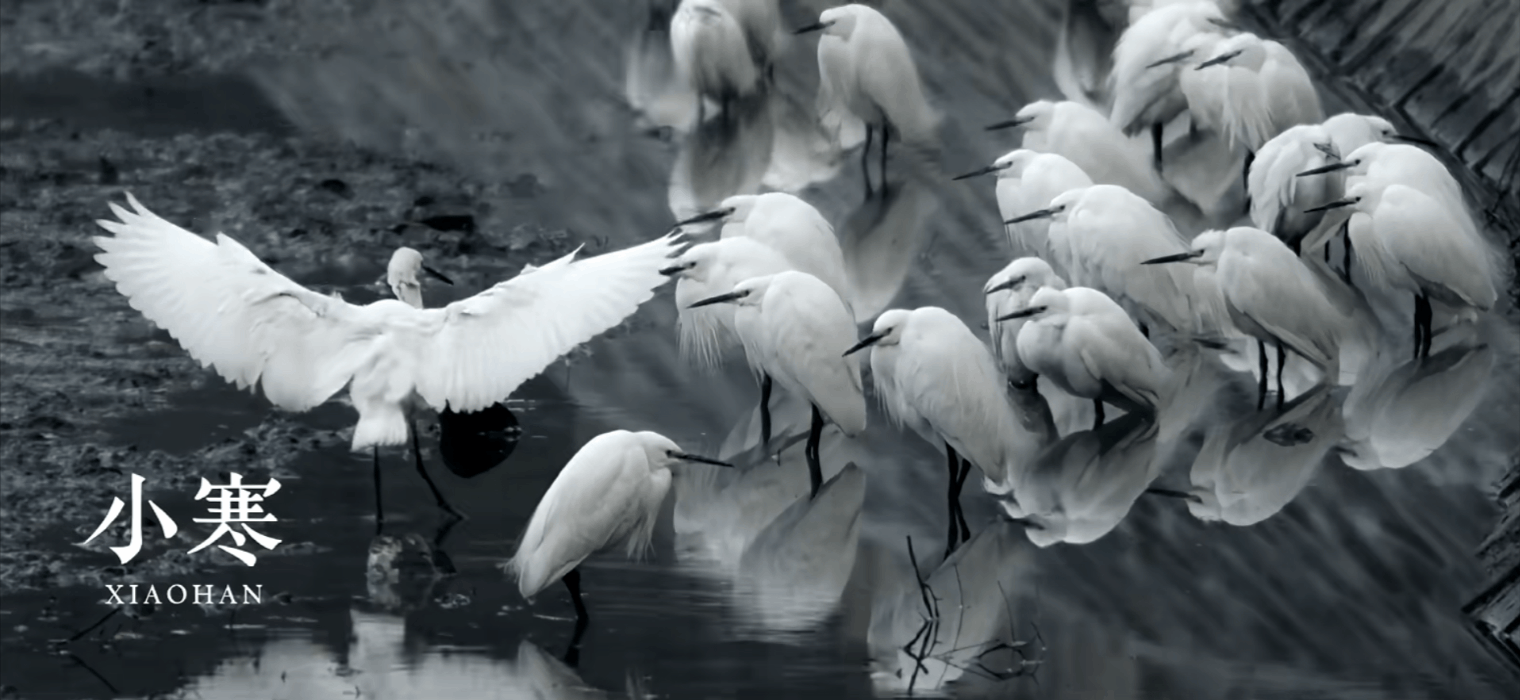 凛风吹霜雪 岁寒有暖阳